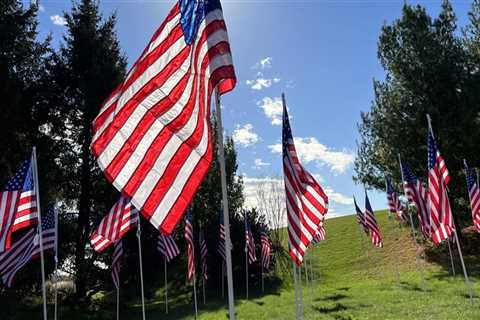 The Impact of Charities in Northern Virginia: How to Receive Assistance and Give Back