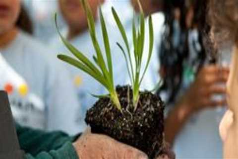 The Power of Volunteerism in Nonprofit Organizations in Sangamon County, Illinois