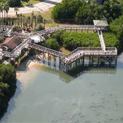 The Role of Technology in Habitat Conservation in Southwest Florida