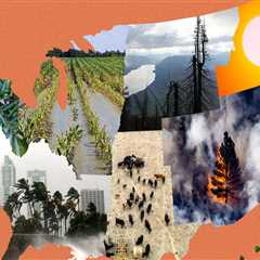 Comparing Employment Opportunities: Northwest Florida vs. Other Regions