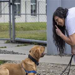 Exploring Educational Programs Offered by Pet Care Organizations in Western Washington