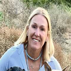 Exploring Mobile Pet Care Organizations in Western Washington