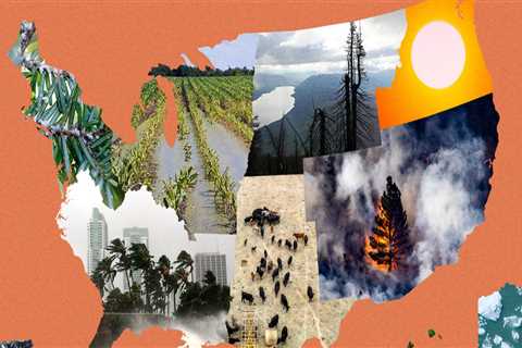 Comparing Employment Opportunities: Northwest Florida vs. Other Regions