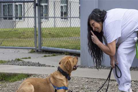 Exploring Educational Programs Offered by Pet Care Organizations in Western Washington