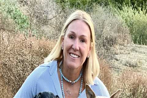 Exploring Volunteer Opportunities with Pet Care Organizations in Western Washington