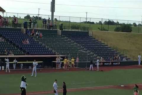 A Comprehensive Guide to Sports Organizations in Springfield, Illinois: Teams, Leagues, and..