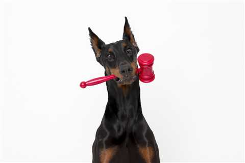 Dog Mom Challenges the Tax Code on Behalf of All Financially Dependent Good Boys and Girls