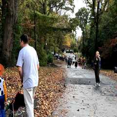 A Comprehensive Guide to Getting Involved with Charitable Organizations in Chevy Chase, Maryland