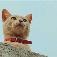 Monday Morning Accounting News Brief: Wait, WHO Got a DoJ Subpoena??; EPA Breaks a Long Clean Audit ..