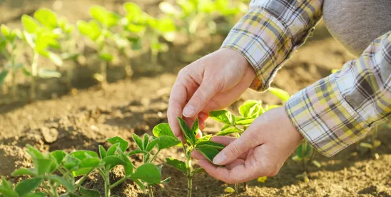 FDA Publishes Updated 2025-2030 Dietary Guidelines for Americans