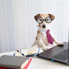 What Do We Think About Aprio’s New Catchphrase?