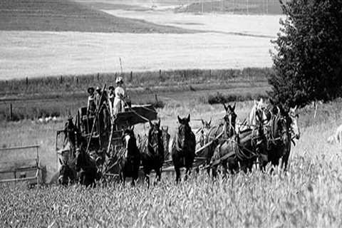 The Evolution of Nonprofit Organizations in Pasco, Washington: A Comprehensive History