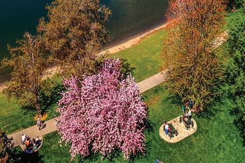 Exploring Nonprofit Organizations in Pasco, Washington: A Comprehensive Guide