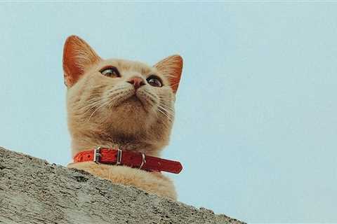 Monday Morning Accounting News Brief: Wait, WHO Got a DoJ Subpoena??; EPA Breaks a Long Clean Audit ..