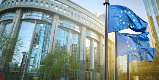 EDPB and EDPS Issue Joint Opinion on EU AI Act Implementation