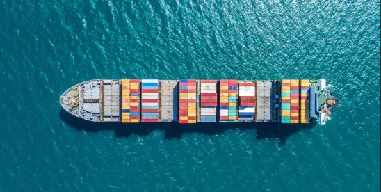 Newly Introduced Congressional Legislation Seeks to End ‘First Sale’ Valuation, Potentially..