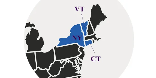 Provider’s Degree of Control Affects DMCA Safe Harbor