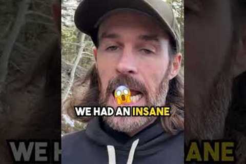 Housing Prices Keep Crashing📉 #realestate #housingmarket