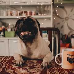 Monday Morning Accounting News Brief: The AICPA Looks at the Early Career; Senator Gets Mad at..