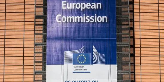 EU Industrial Accelerator Act Introduces New Conditions for Strategic Foreign Investments