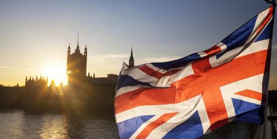 UK REACH SVHC Candidate List to Become Closer Aligned with EU Candidate List