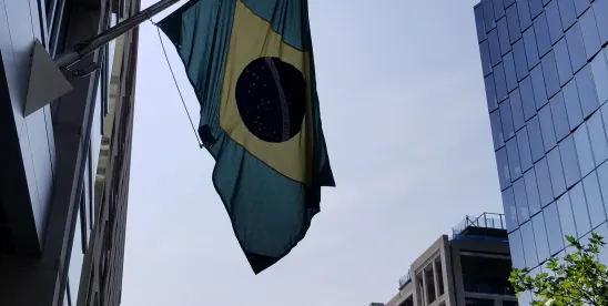 EB-2 NIW Visa from Brazil to the U.S.: Self-Petitioning for Permanent Residence (2026)