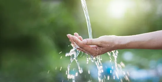 Forthcoming Decision Could Impact Preliminary Injunctions in Environmental Cases