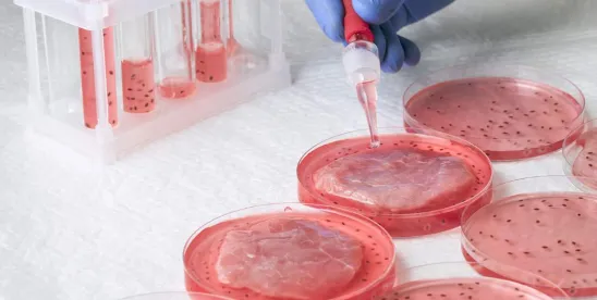 11th Circuit Holds that Florida Ban on Cultivated Meat Not Preempted