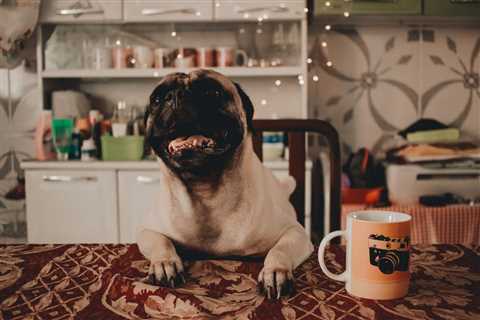 Monday Morning Accounting News Brief: The AICPA Looks at the Early Career; Senator Gets Mad at..