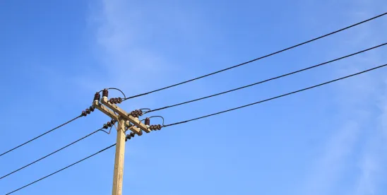 ERCOT’s Proposed “Batch Zero” Process: What Developers of Large Loads Need to Know