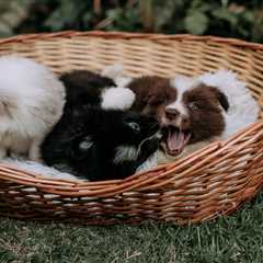 Friday Footnotes: EY Tells Tax to Get Back in the Office; Associates Are Vibe Coding Now | 4.3.26