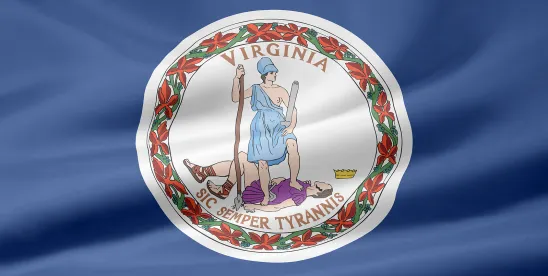Virginia’s Wide-Ranging Workplace Reforms: Employer Takeaways for July 1 Go Live