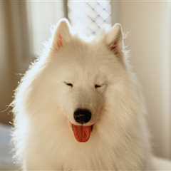 Monday Morning Accounting News Brief: AI Boom Investor Fraud Off to a Strong Start; Do We Even Need ..