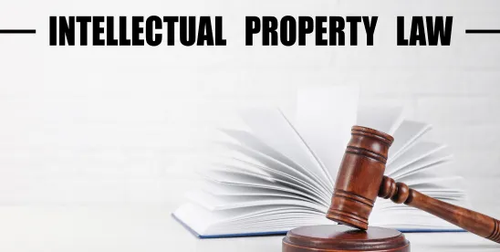 China’s Supreme People’s Court Releases 2025 Annual Report on Legal Application Issues in..