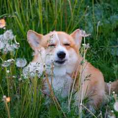 Friday Footnotes: Partners Taking Ls; PwC Eats a Big Ol’ Fine; A Post 4/20 IRS Surprise | 4.24.26