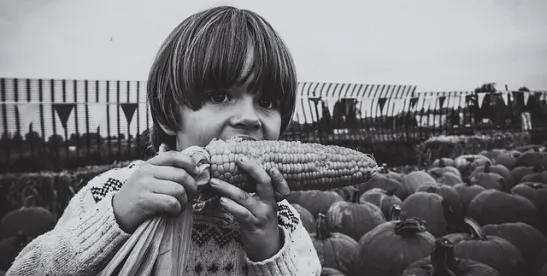 APHIS Seeks Public Comment on Petition to Deregulate Corn Variety Developed Using Genetic..