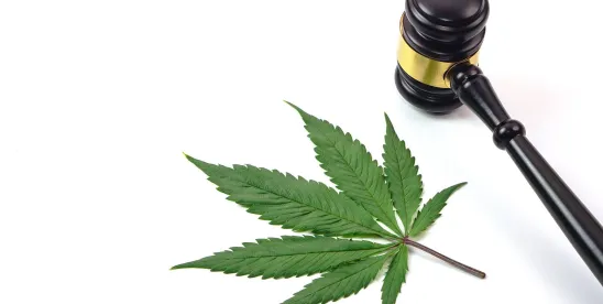 Will States with Adult-Use Marijuana Programs See a Renewed Surge Towards Medical Programs..
