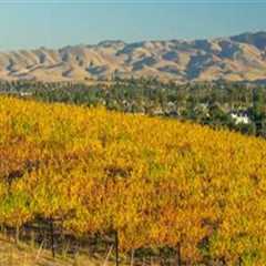 How Central California Wineries Balance Openness and Security