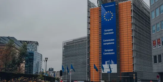 Commission Issues its EUDR May 2026 Package- an Expanded Product scope and Limited Additional..