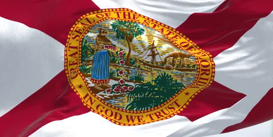Florida’s New DEI Ban for Local Governments: What Contractors and Vendors Need to Know