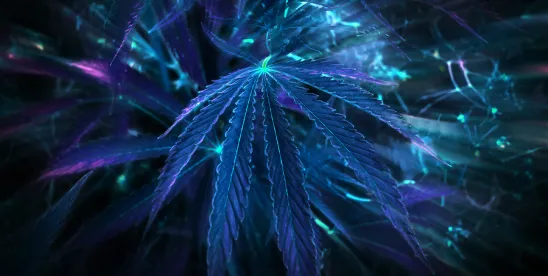 What the Marijuana Rescheduling Order Means for Psychedelics