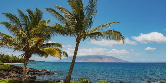 Hawaii MFCU Defunding Signals Increased Scrutiny for Providers and MCOs