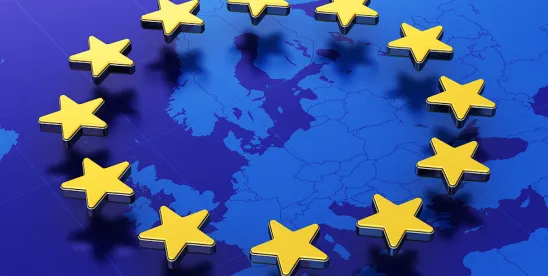 A Party of No-Shows? Implementation of the Pay Transparency Directive – A View Across Europe [Video]