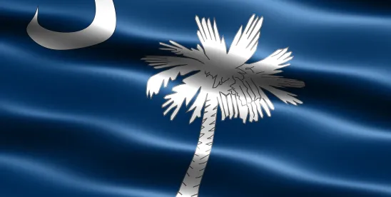 South Carolina Supreme Court Clarifies Class Action Predominance Requirement in Henson v. SCDC