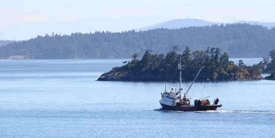EB-2 NIW Opportunities for Maritime, Shipbuilding, and Marine Engineering Professionals