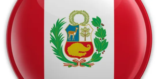 EB-2 NIW Case Study: Approval for a Software Development Project Manager from Peru