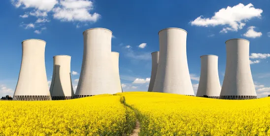 Tennessee Establishes First-in-the-Nation State Regulatory Framework for Fusion Machines
