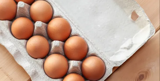 Eggs-cluded: Class Certification Reversed for Lack of Classwide Proof of Deception in Egg Labeling..