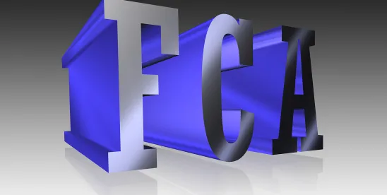 11th Circuit Finds False Claims Act Qui Tam Provisions Constitutional