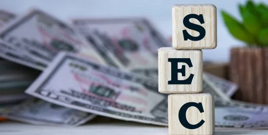 SEC Staff Issues New CFIs Concerning Schedule 13G Eligibility